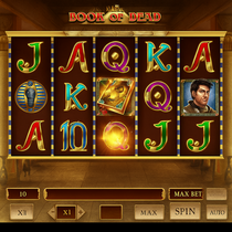NeedforSlots - Book of Dead Slot Game - Play'n GO Pokie